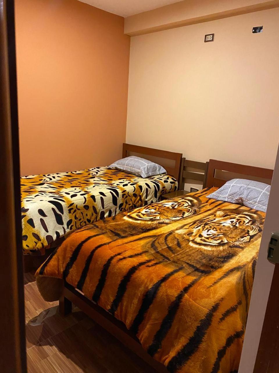 Aventura Chachapoyas Backpackers Pansiyon Dış mekan fotoğraf