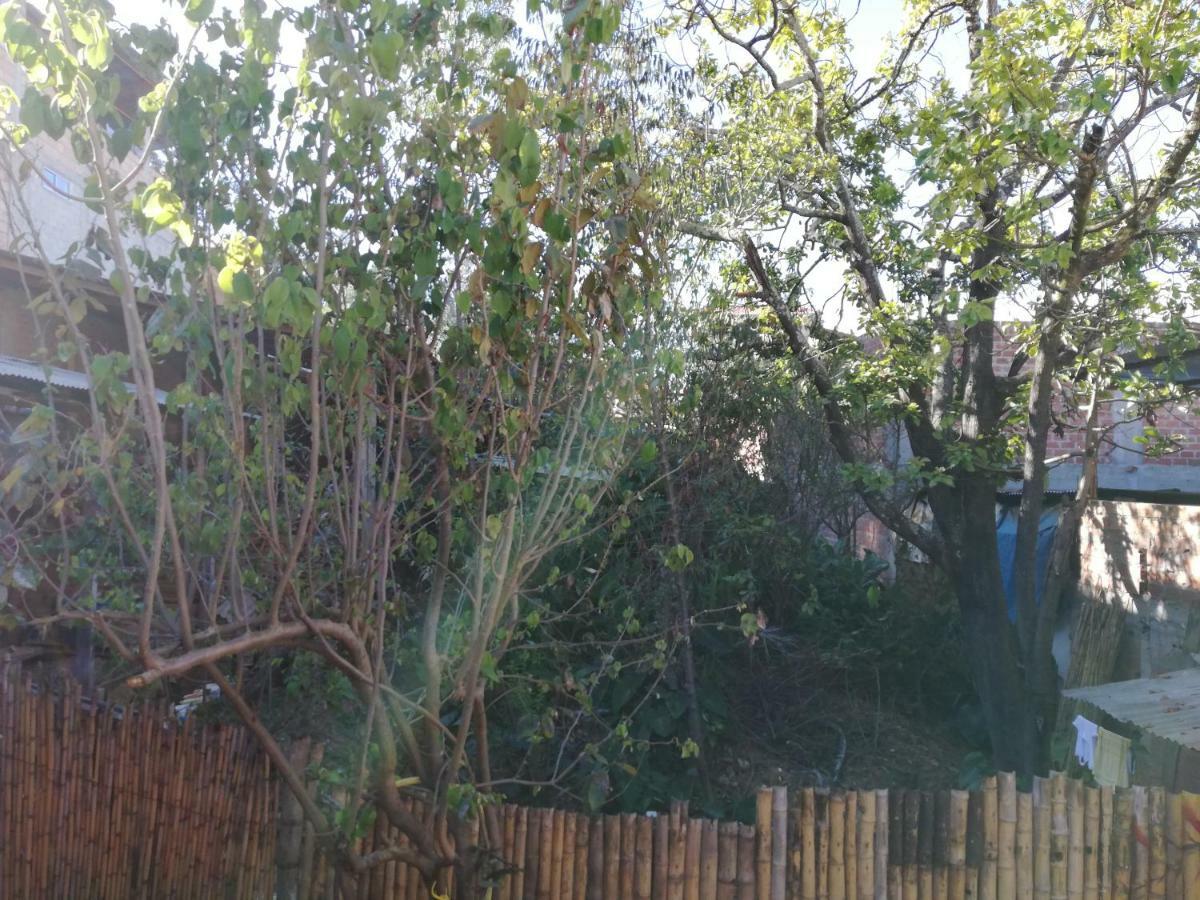 Aventura Chachapoyas Backpackers Pansiyon Dış mekan fotoğraf
